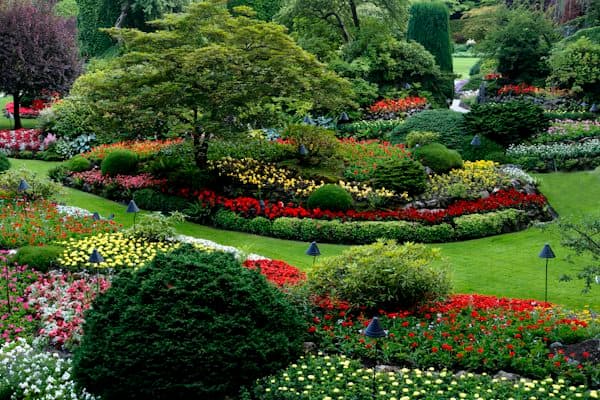 ল্যান্ডস্কেপিং