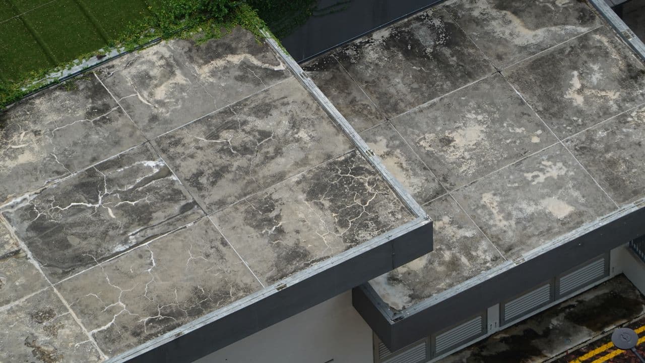 Roof & Bathroom Waterproofing