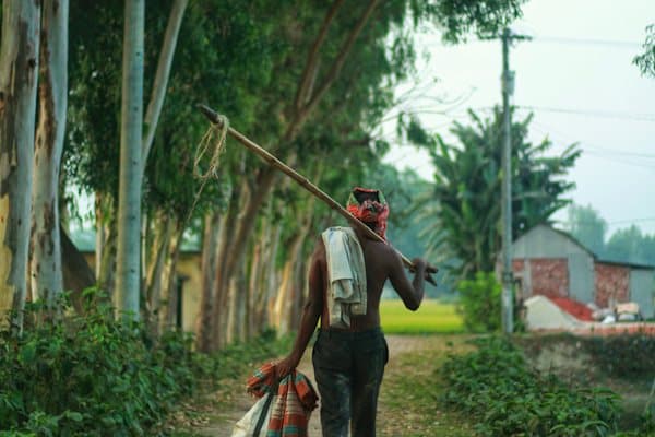 স্টোর রুম, ছাদ ও গ্যারেজ খালি করা
