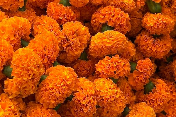 মেহেদি সন্ধ্যার ডেকোর ও ফটো বুথ