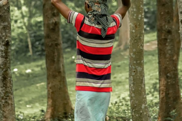 গুদাম ও গোডাউনের লোডার দল