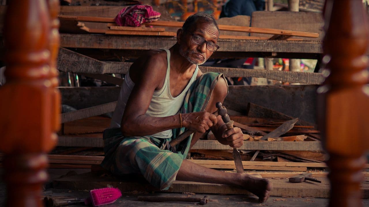 Carpenter & Furniture Repair